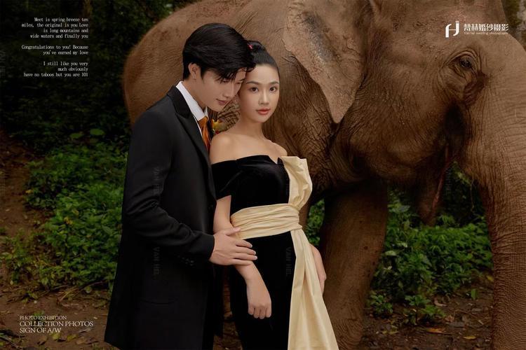 梵赫摄影:大象主题时尚个性婚纱照 黑色礼服婚纱照