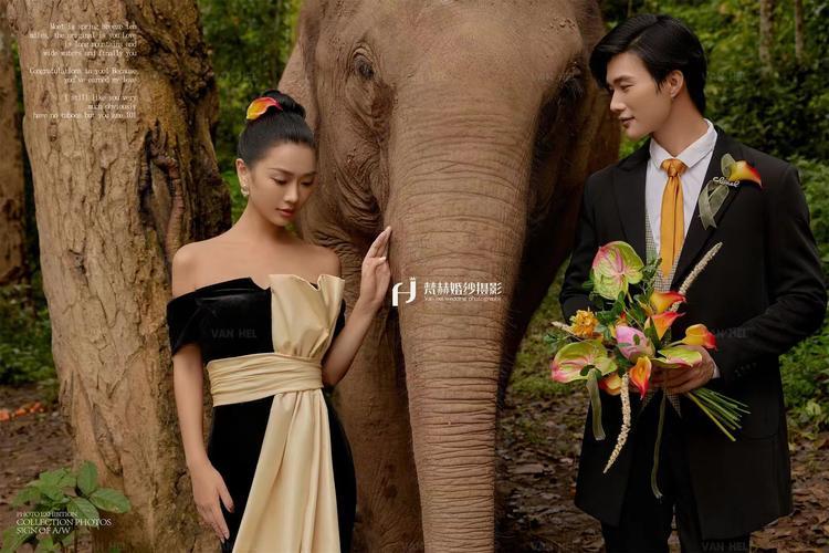 梵赫摄影:大象主题时尚个性婚纱照 黑色礼服婚纱照